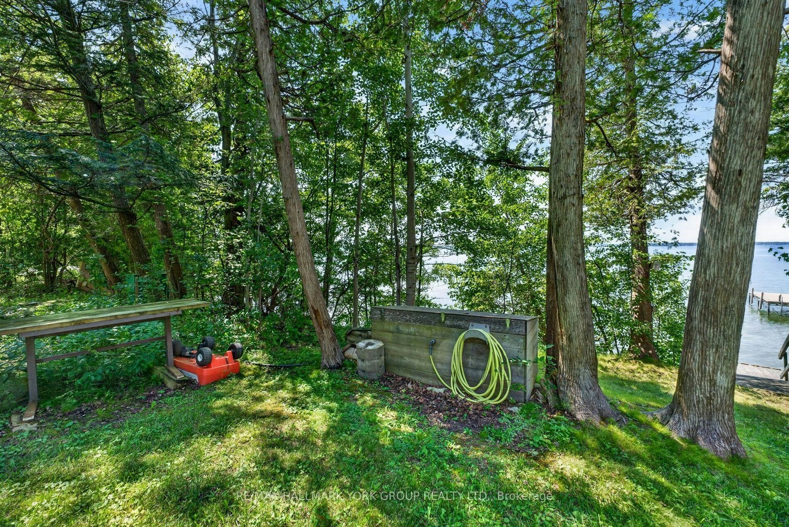 Lot 193 Snake Island Road, Georgina Islands, ON, L4P 3E9 - 35