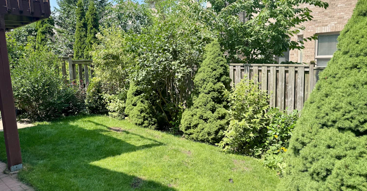 Basement-11 Hubner Drive, Richmond Hill, ON, L4E 4W5 - 7