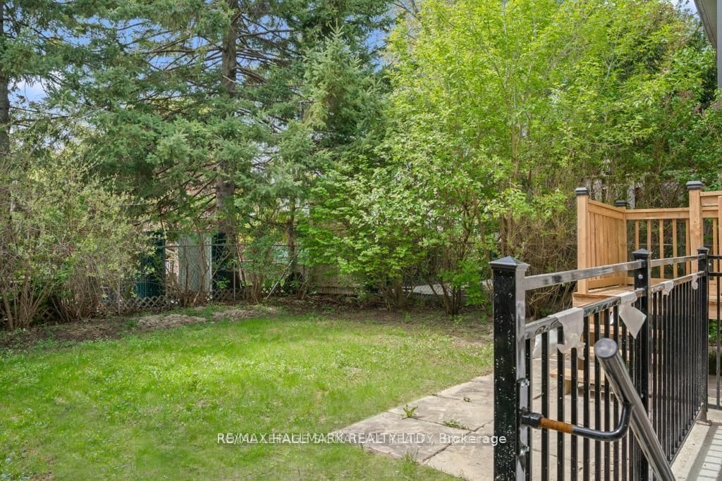 227-BASEMENT Thoms Crescent, Newmarket, ON, L3Y 1C9 - 8