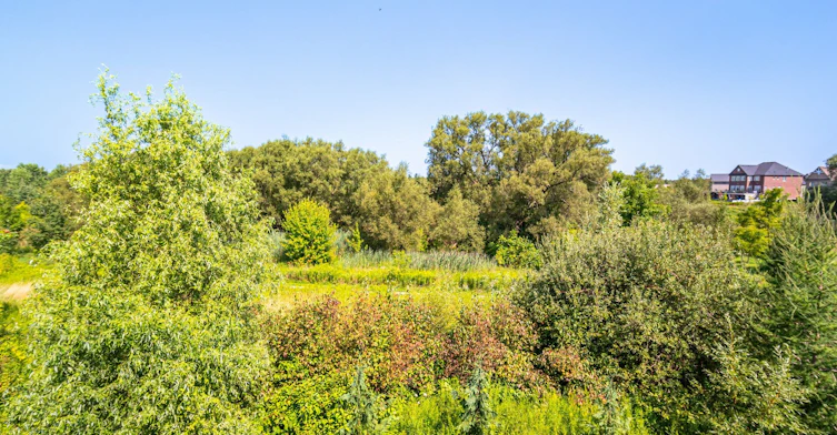34 Alex Campbell Crescent, King, ON, L7B 0C2 - 38