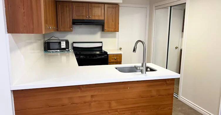 Basement-17 Ferncliffe Crescent, Markham, ON, L3S 4N9 - 3