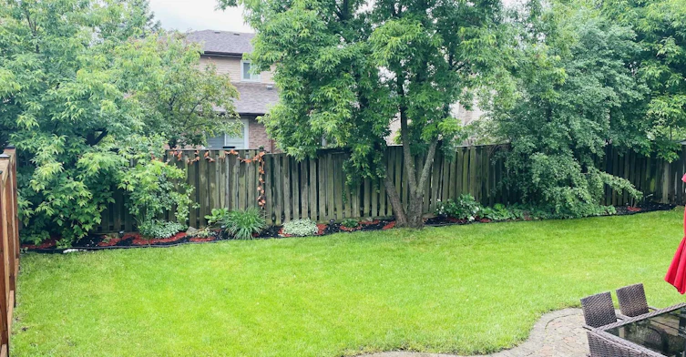 Upper level-909 Ferndale Crescent, Newmarket, ON, L3Y 6B6 - 16