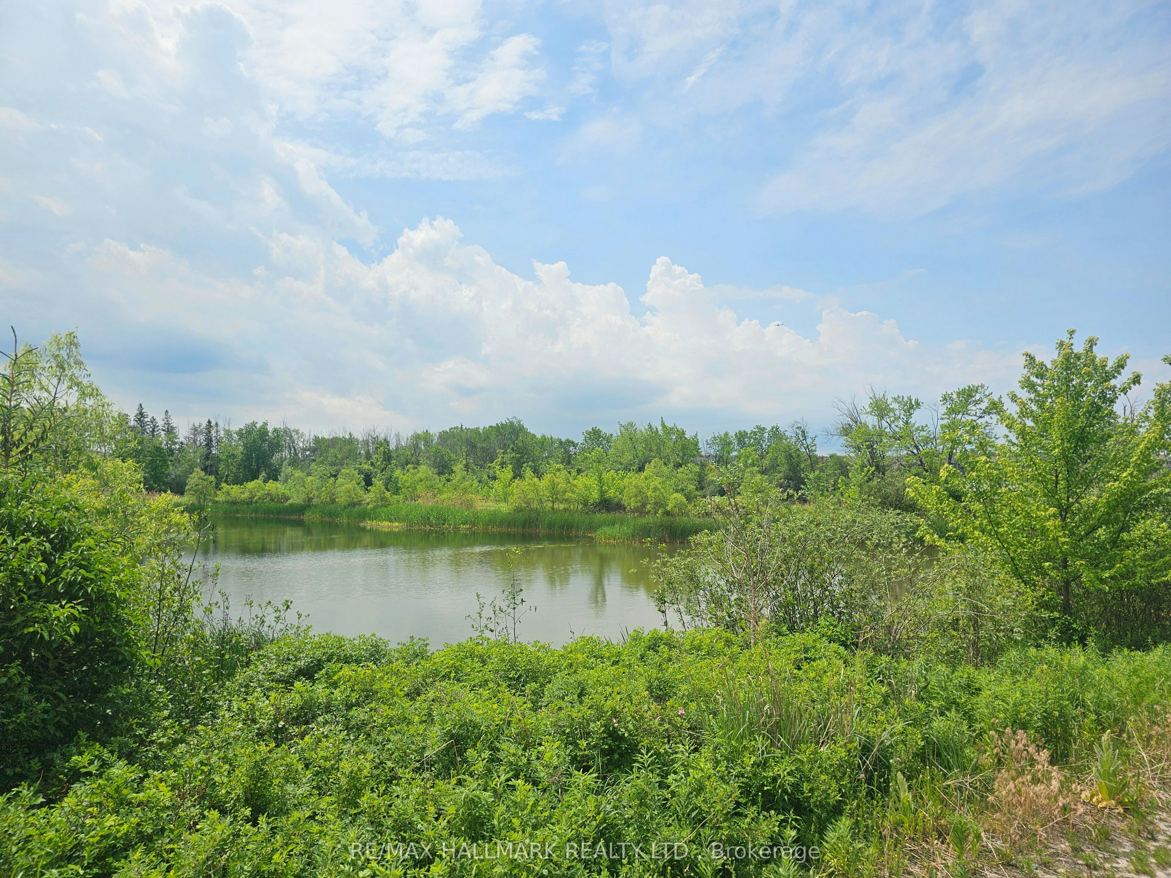 65 Riley Reed Lane, Richmond Hill, ON, L4S 0M3 - 41