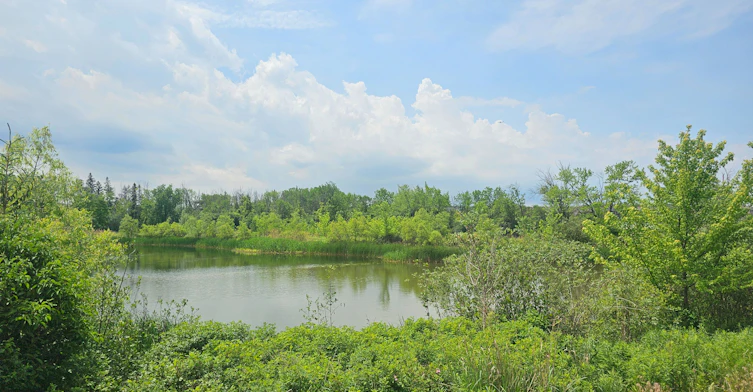 65 Riley Reed Lane, Richmond Hill, ON, L4S 0M3 - 41