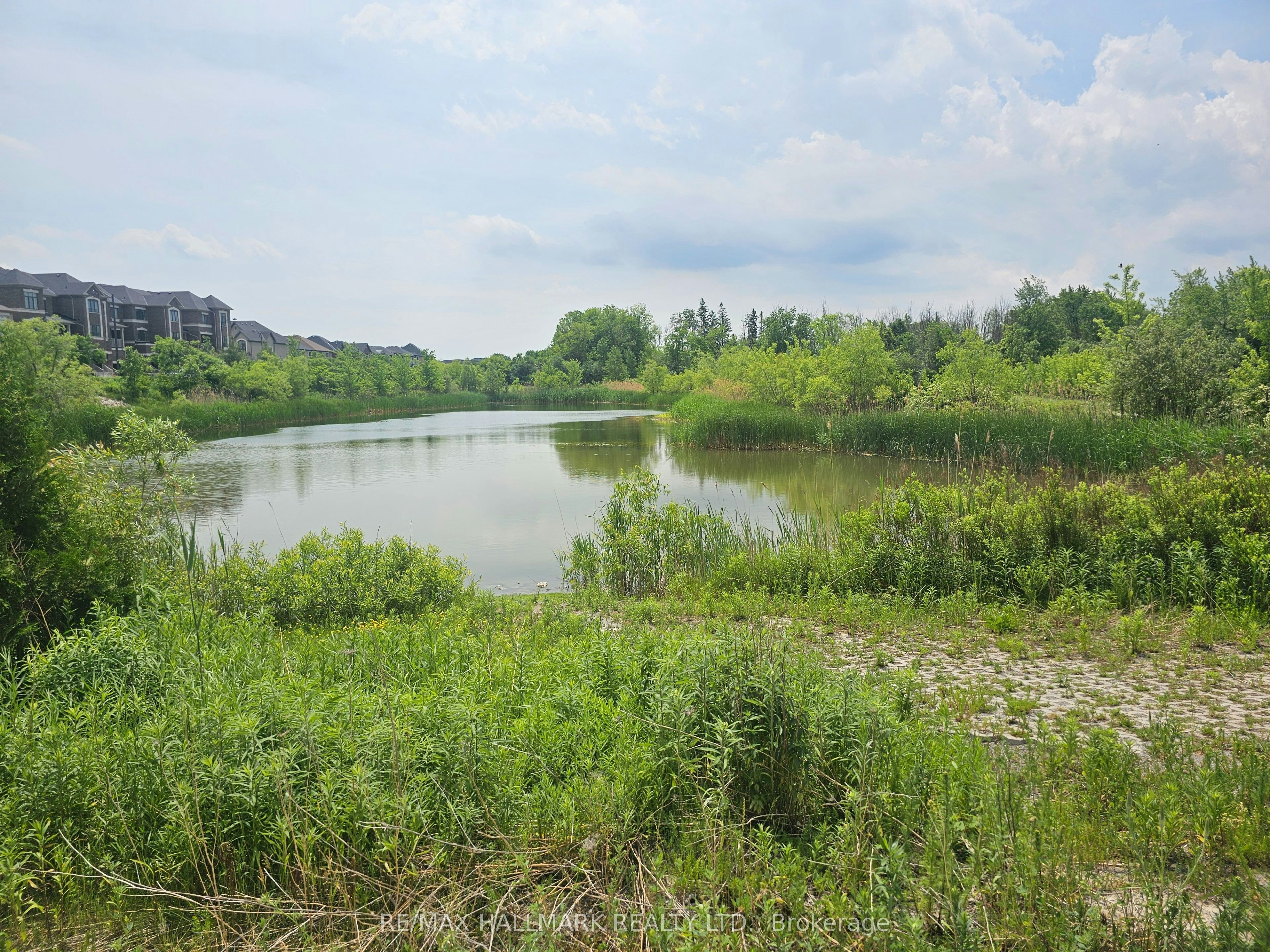 65 Riley Reed Lane, Richmond Hill, ON, L4S 0M3 - 40