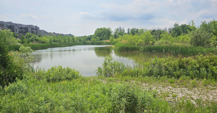 65 Riley Reed Lane, Richmond Hill, ON, L4S 0M3 - 40