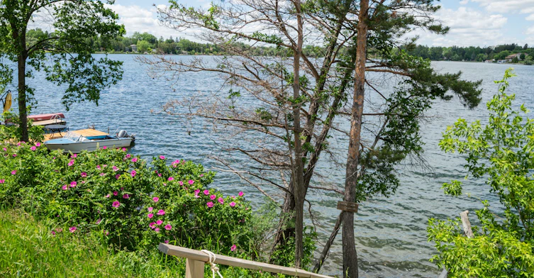 14703 Ninth Line, Whitchurch-Stouffville, ON, L4A 7X3 - 44
