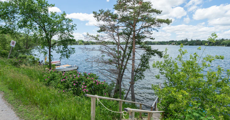 14703 Ninth Line, Whitchurch-Stouffville, ON, L4A 7X3 - 45