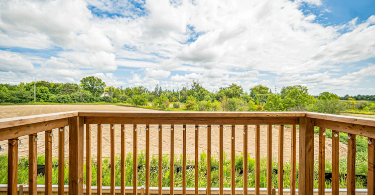 43 Millman Lane, Richmond Hill, ON, L4S 0P8 - 12