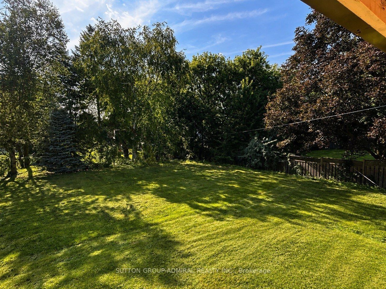 Main Floor-86 Hamilton Drive, Newmarket, ON, L3Y 3E8 - 34