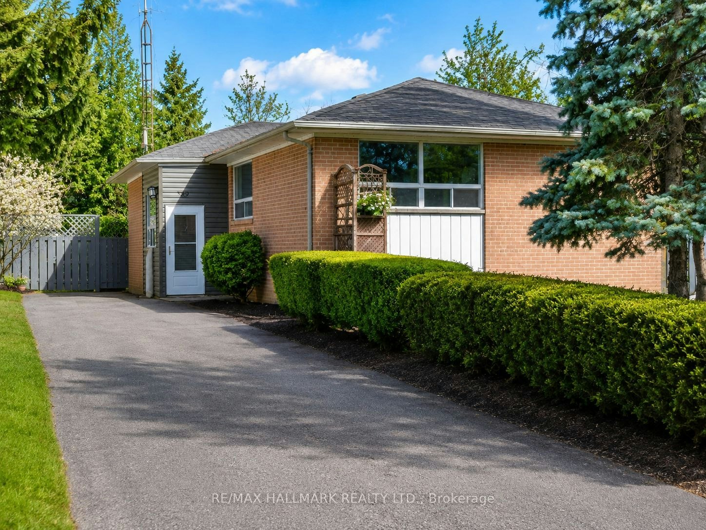Lower-389 Allgood Street, Richmond Hill, ON, L4C 2Z1