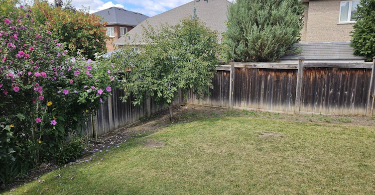 10 Orville Hand Court, Bradford West Gwillimbury, ON, L3Z 3H9 - 19
