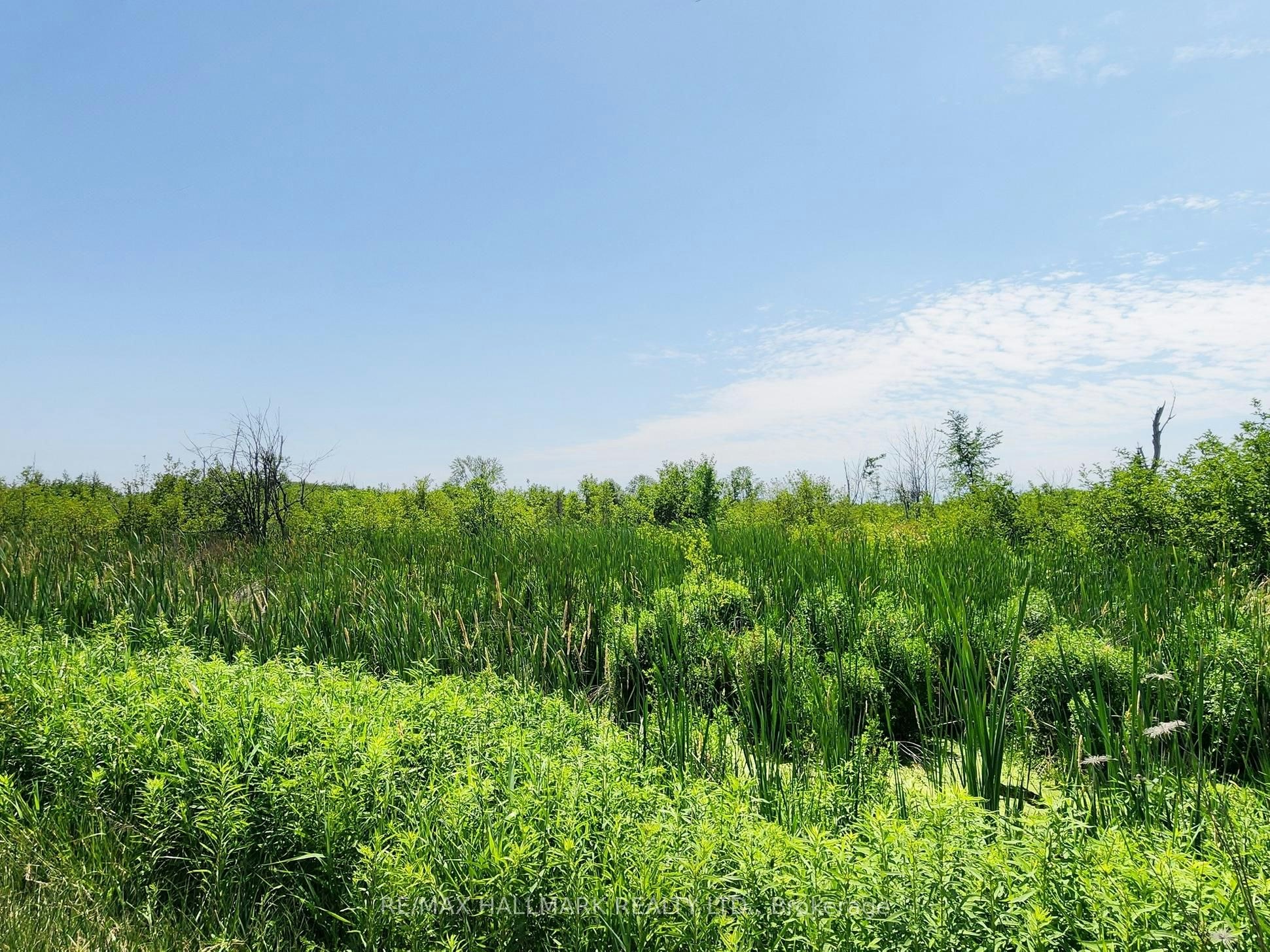 20200 Highway 48 N/A, East Gwillimbury, ON, L0G 1M0