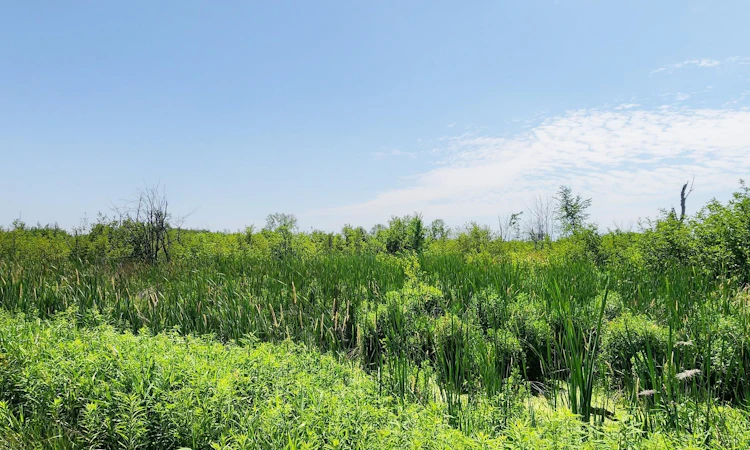20200 Highway 48 N/A
