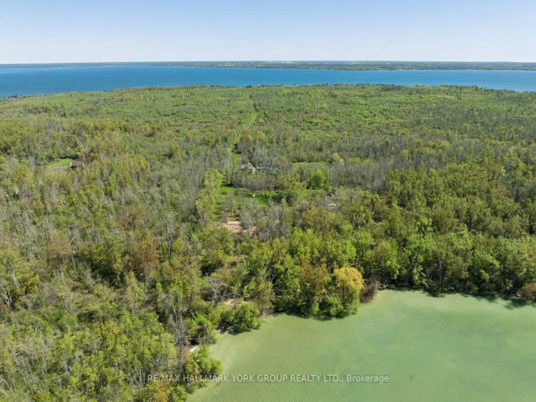 B40508 Centre Road, Brock, ON, L0K 1A0 - 46