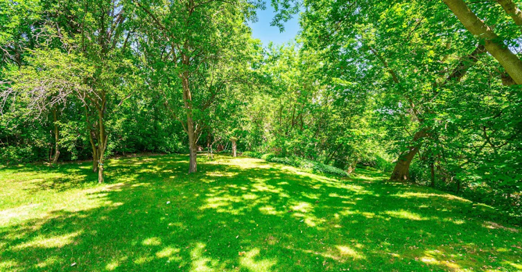 390 Main Street, King, ON, L0G 1T0 - 41