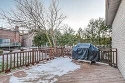 137 Arnold Avenue, Vaughan, ON, L4J 1B8 - 18