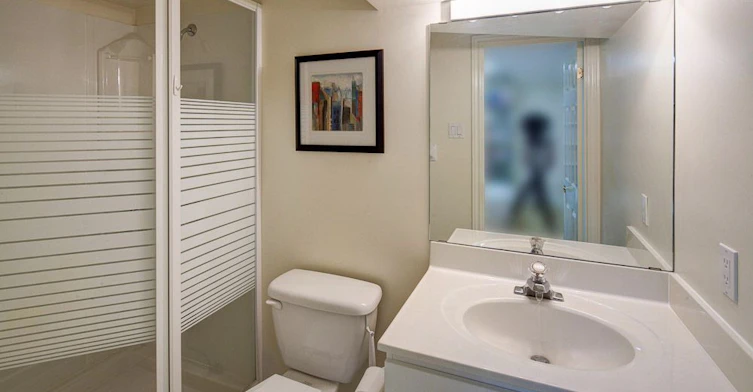 29 Futura Avenue, Richmond Hill, ON, L4S 1S8 - 17