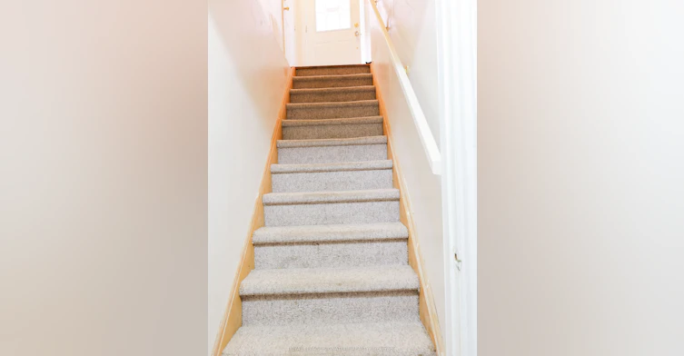 1 Bed 1Bath Basement-77 Rushingbrook Drive, Richmond Hill, ON, L4S 1X4 - 12