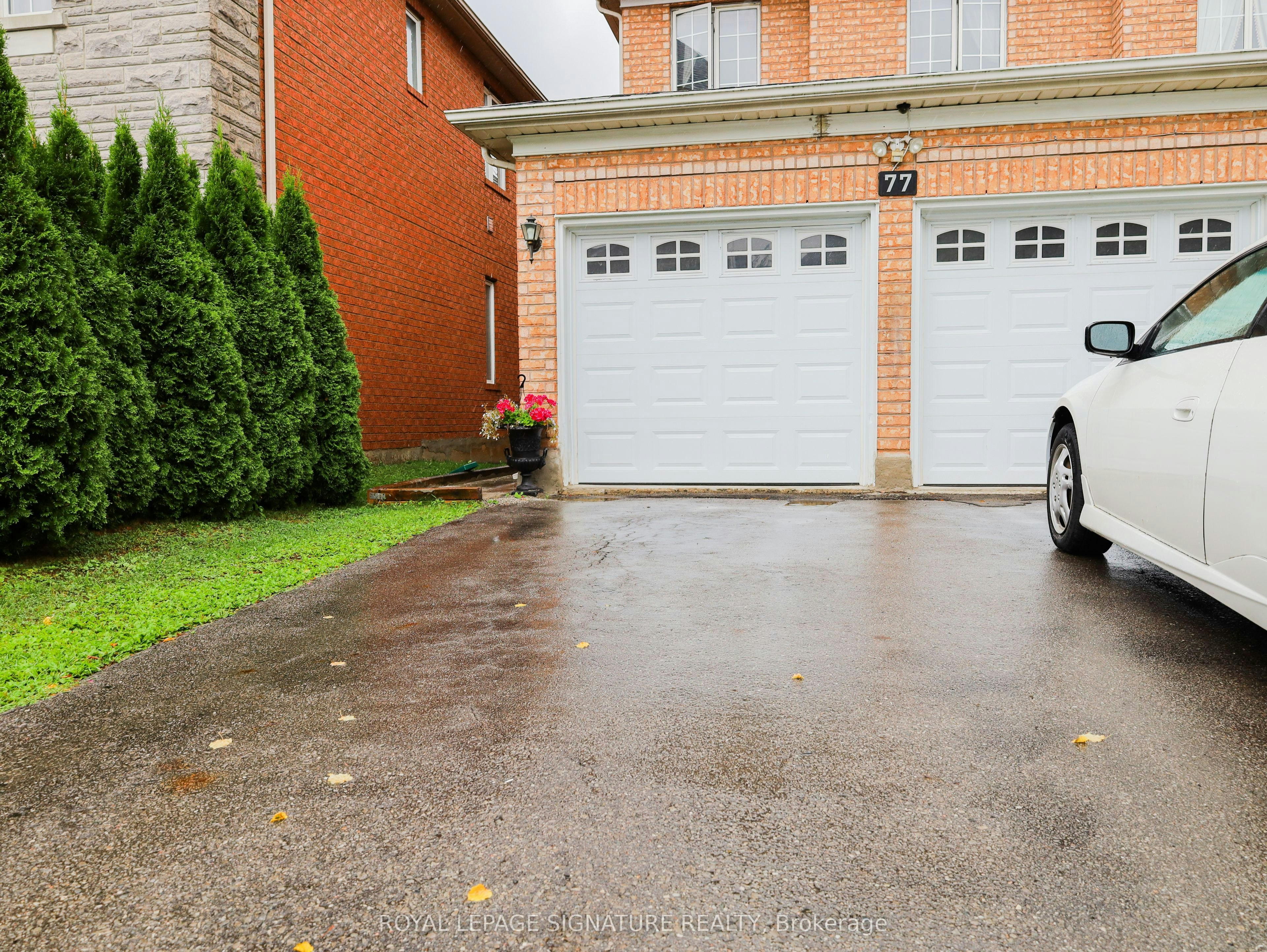 1 Bed 1Bath Basement-77 Rushingbrook Drive, Richmond Hill, ON, L4S 1X4