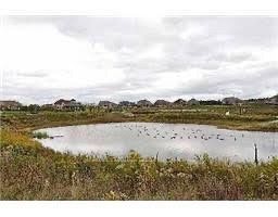 112-30 Wyndance Way, Uxbridge, ON, L9P 0B8 - 18