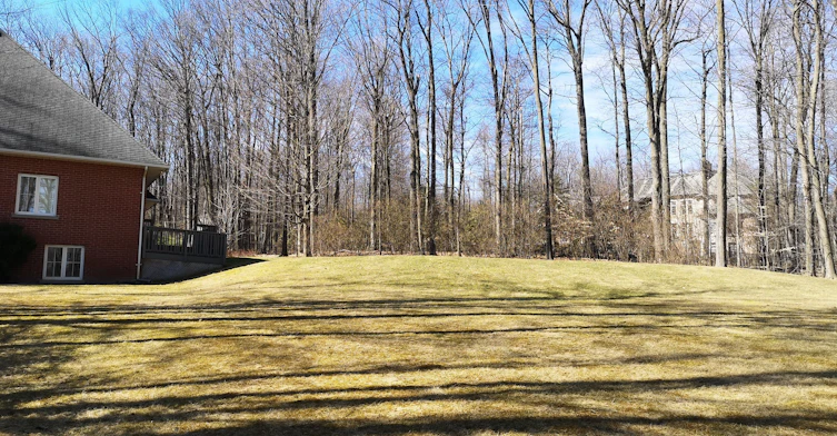 36 Country Heights Drive, Richmond Hill, ON, L4E 3M8 - 19