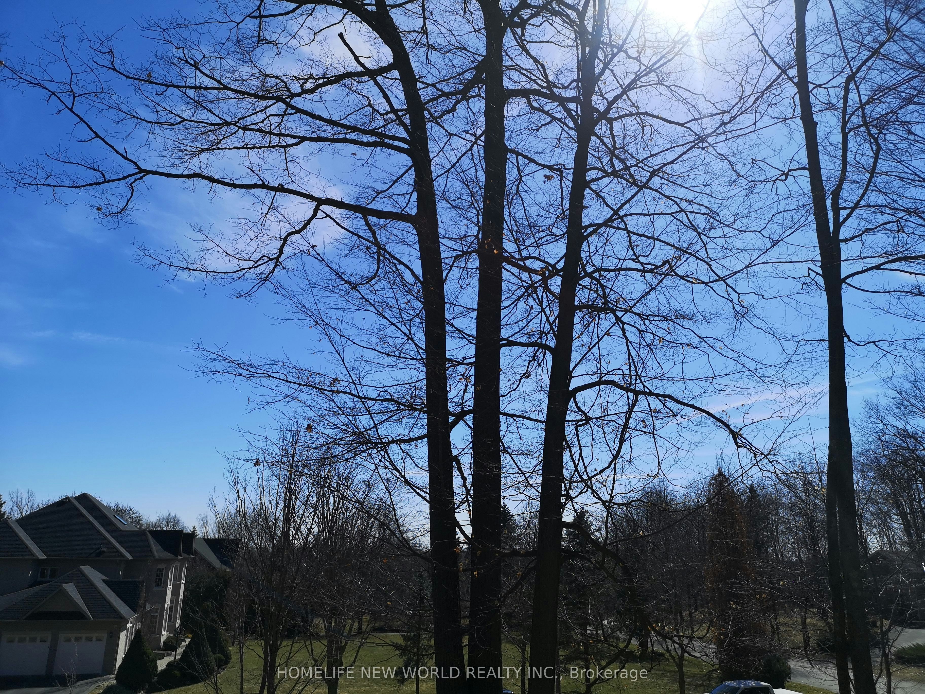 36 Country Heights Drive, Richmond Hill, ON, L4E 3M8 - 18