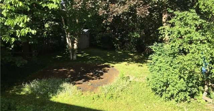 Upper-278 Waratah Avenue, Newmarket, ON, L3Y 5J2 - 15