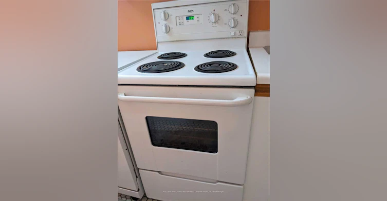 Lower-132 Old Surrey Lane, Richmond Hill, ON, L4C 8S6 - 15