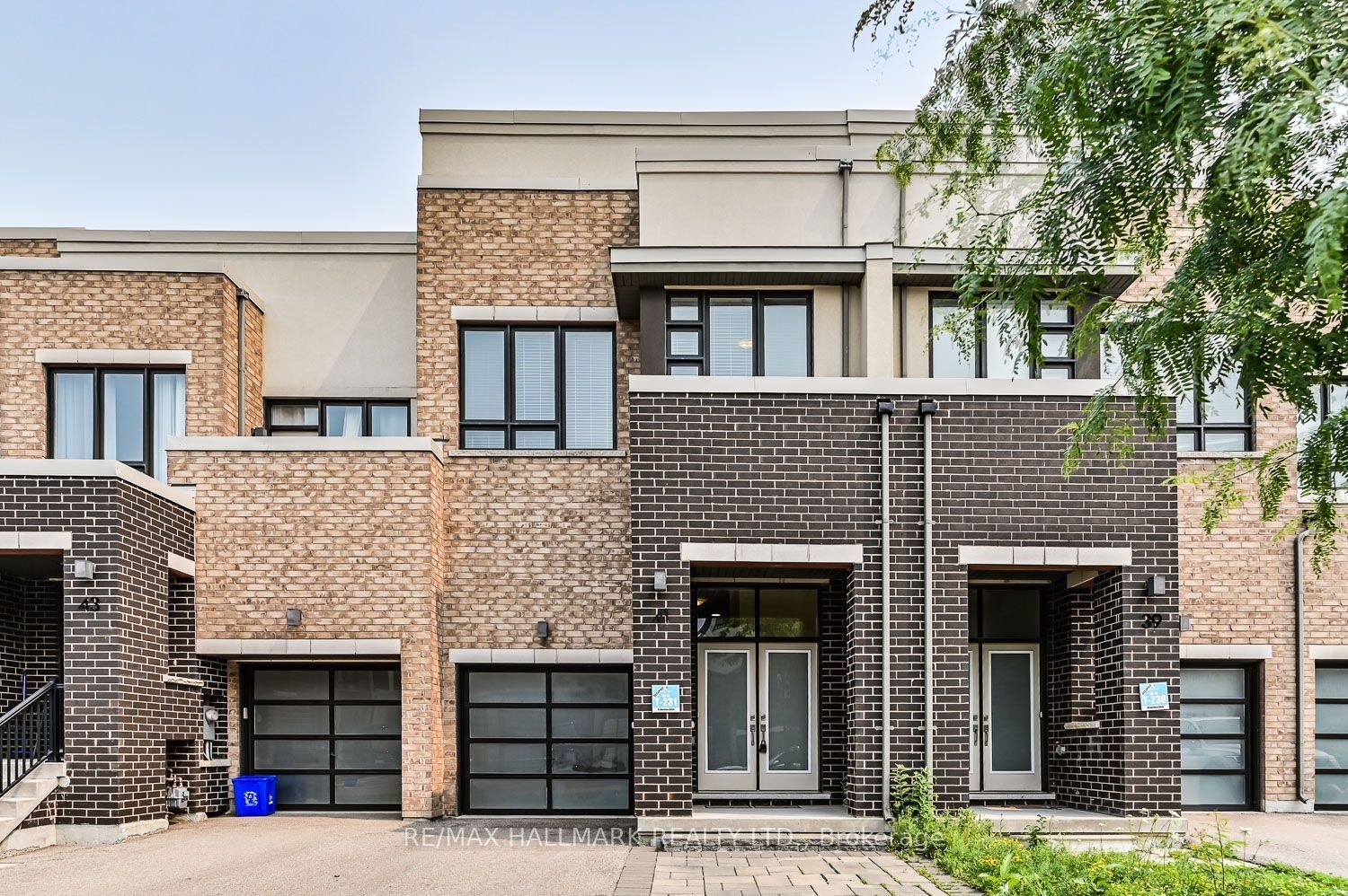 41 Anchusa Drive, Richmond Hill, ON, L4E 5B6