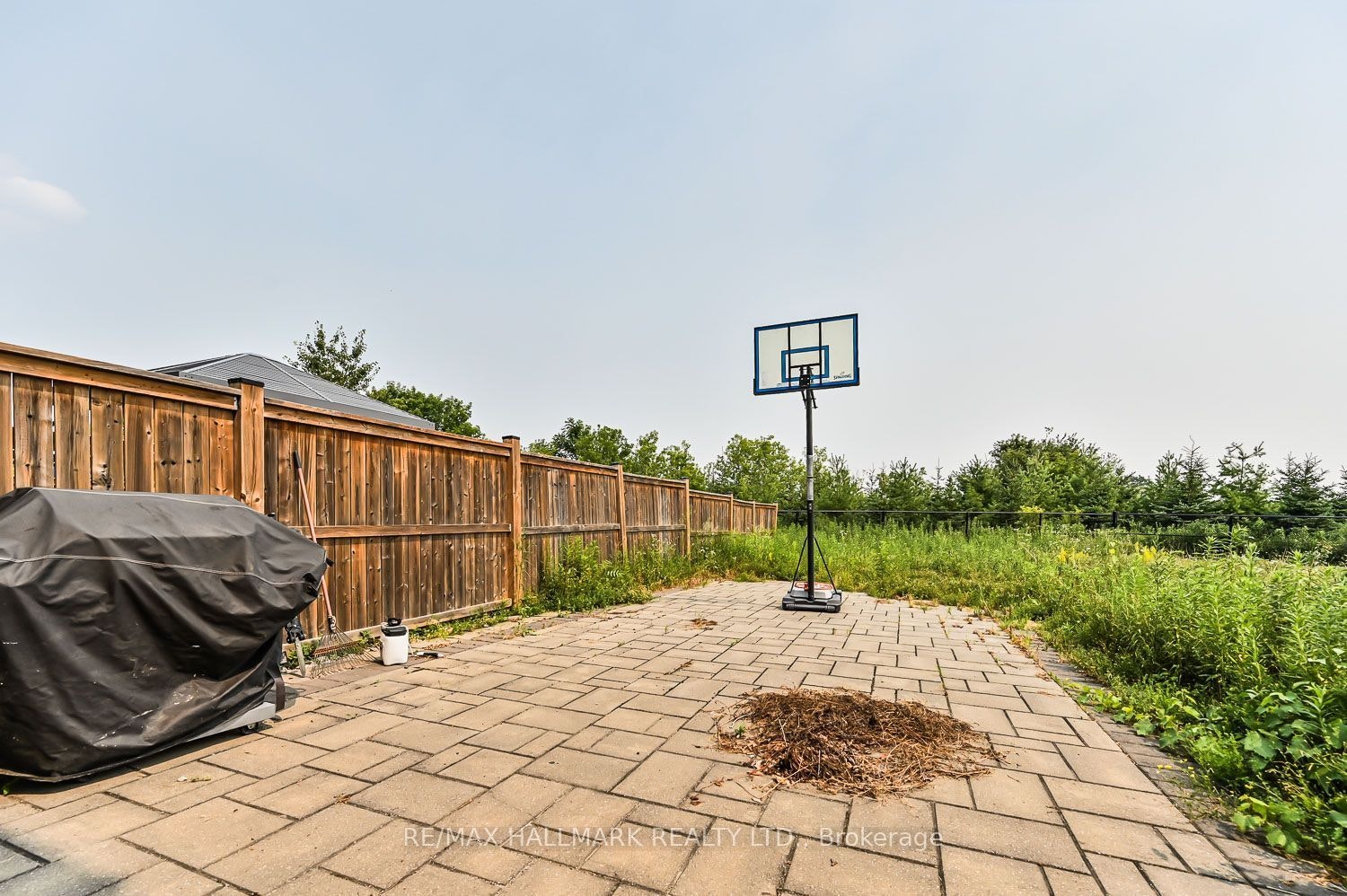 41 Anchusa Drive, Richmond Hill, ON, L4E 5B6 - 32