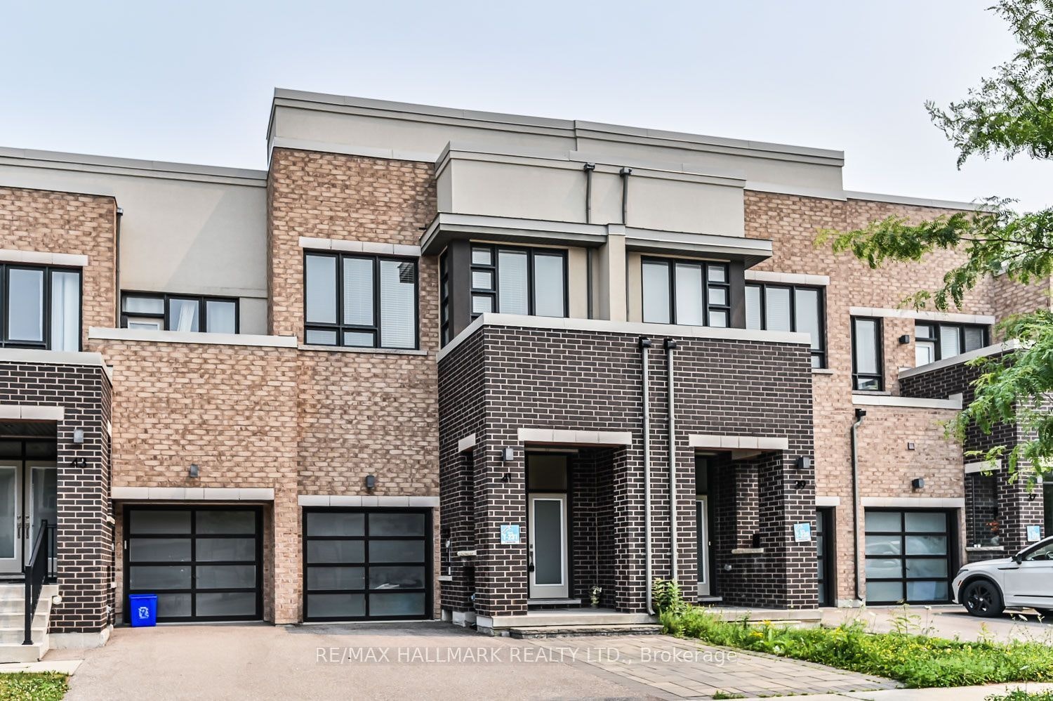 41 Anchusa Drive, Richmond Hill, ON, L4E 5B6 - 2