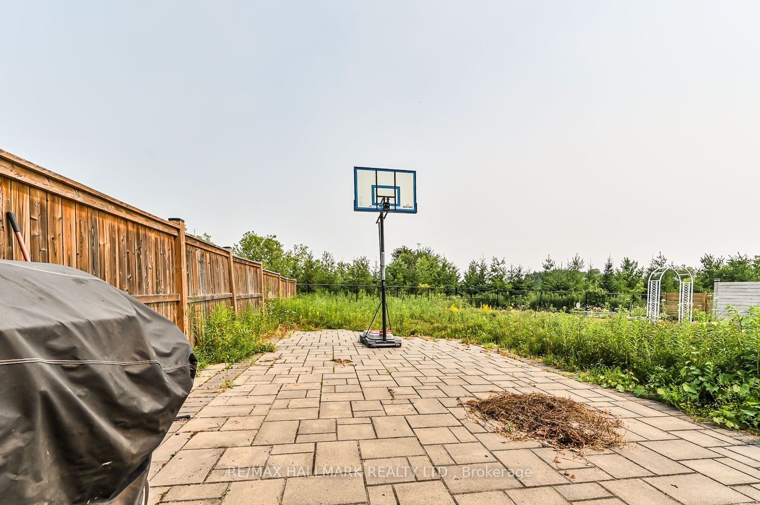 41 Anchusa Drive, Richmond Hill, ON, L4E 5B6 - 31