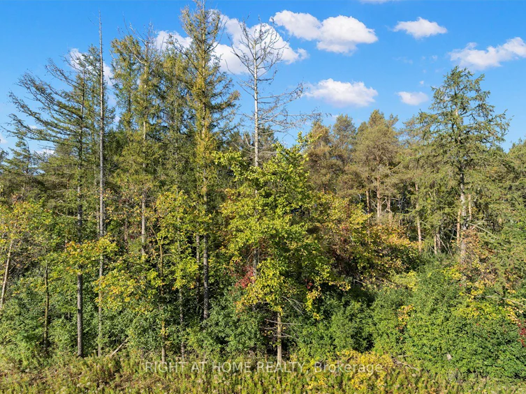 121 Milky Way Drive, Richmond Hill, ON, L4C 4L9 - 41