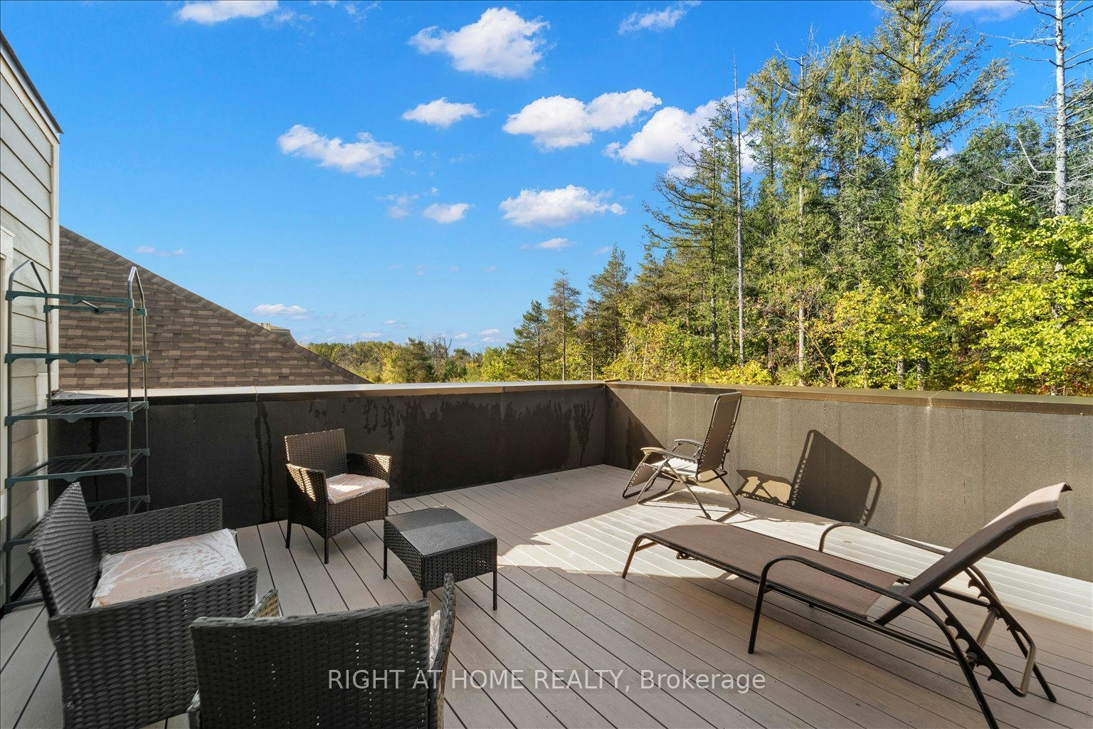 121 Milky Way Drive, Richmond Hill, ON, L4C 4L9 - 39