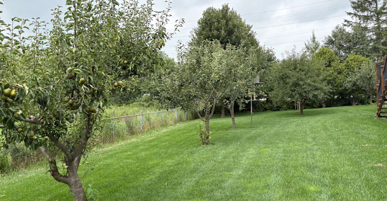 4 Blake Street, East Gwillimbury, ON, L0E 1R0 - 4