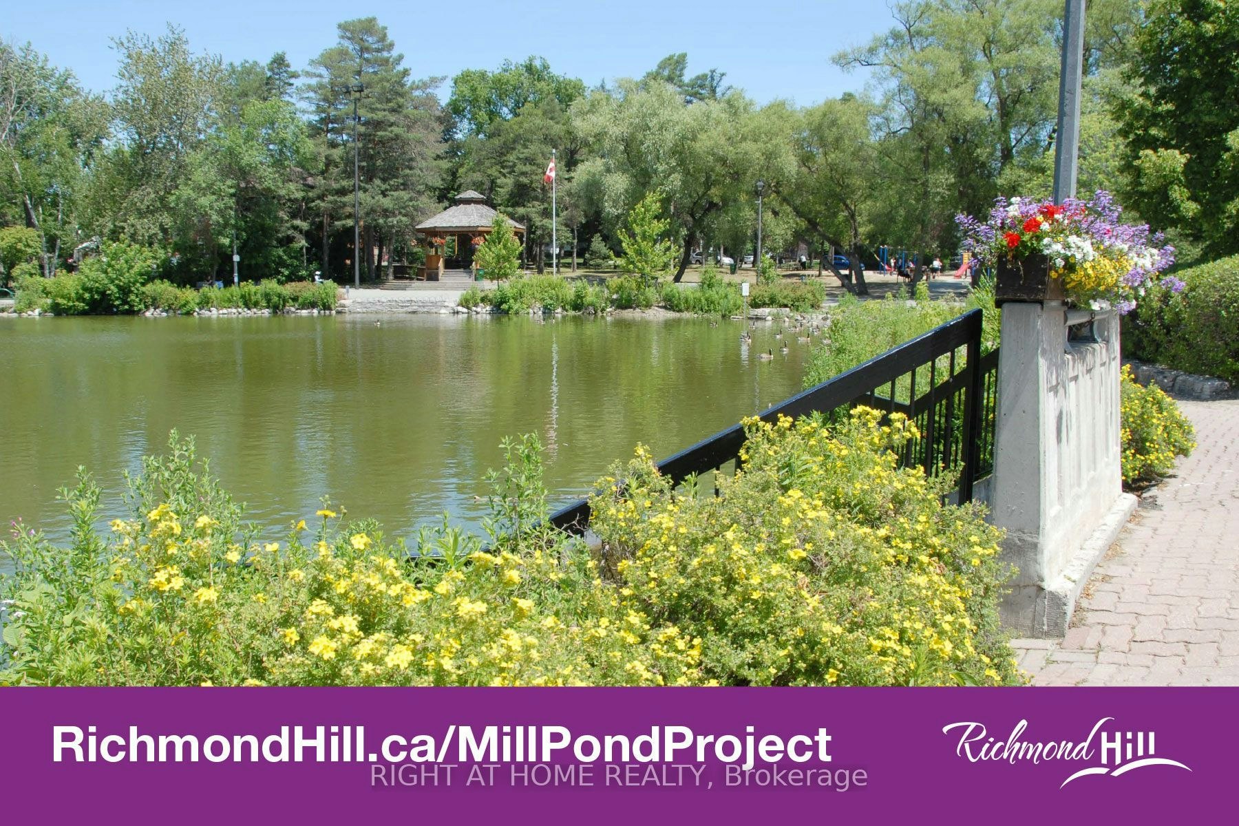 Bsmt-186 Driscoll Road, Richmond Hill, ON, L4C 4H7 - 17