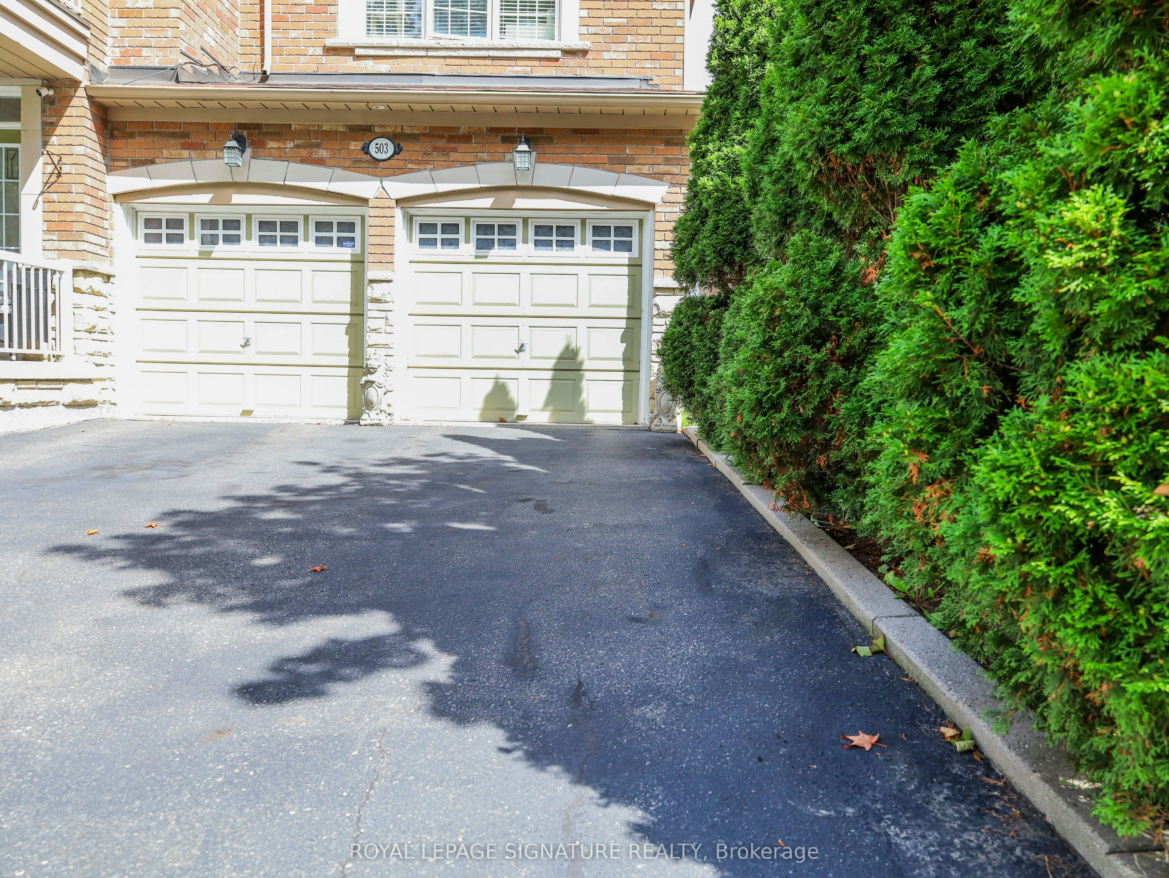 Basement-503 Thornhill Woods Drive, Vaughan, ON, L4J 9A1