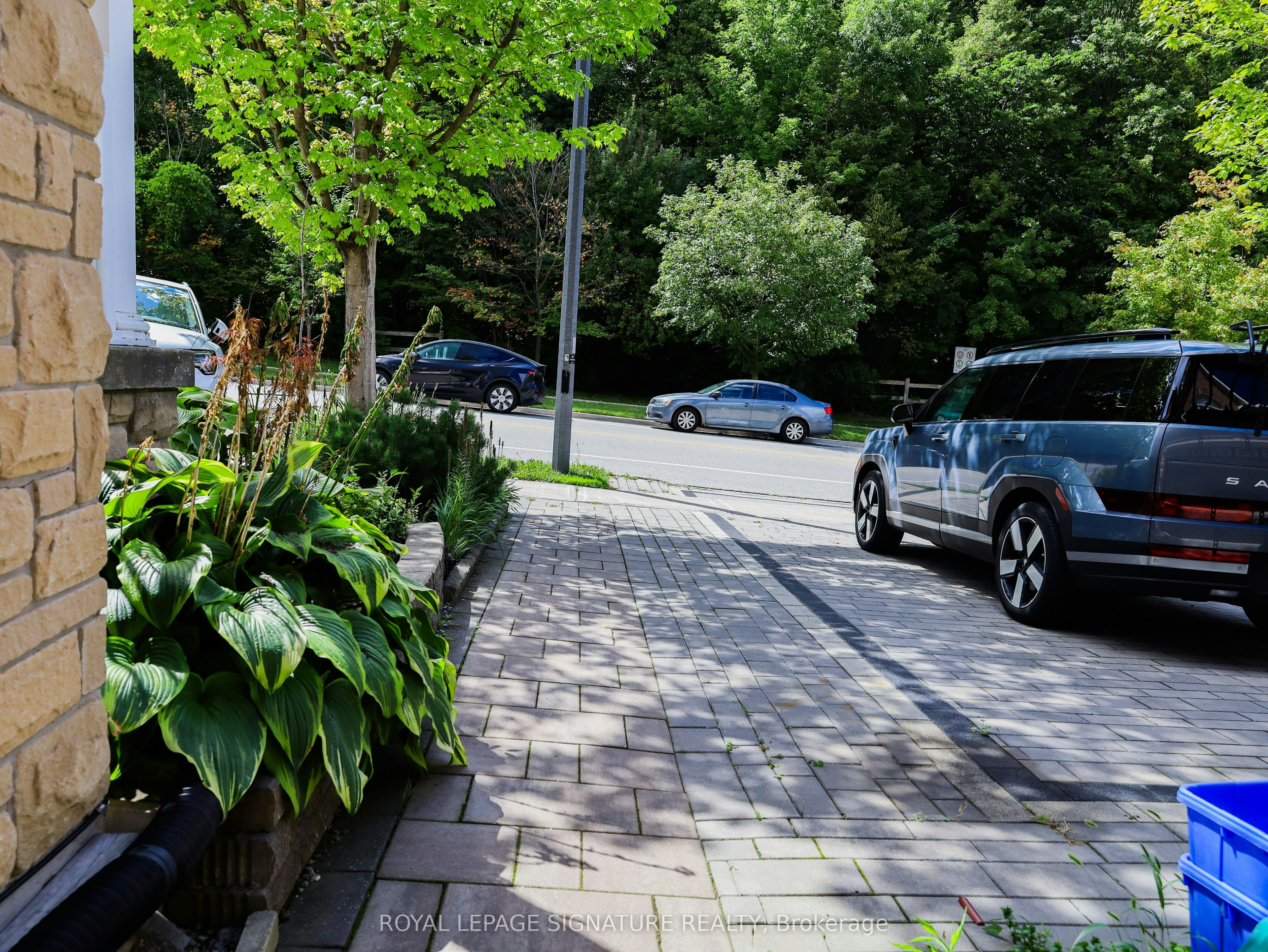 Basement-503 Thornhill Woods Drive, Vaughan, ON, L4J 9A1 - 2