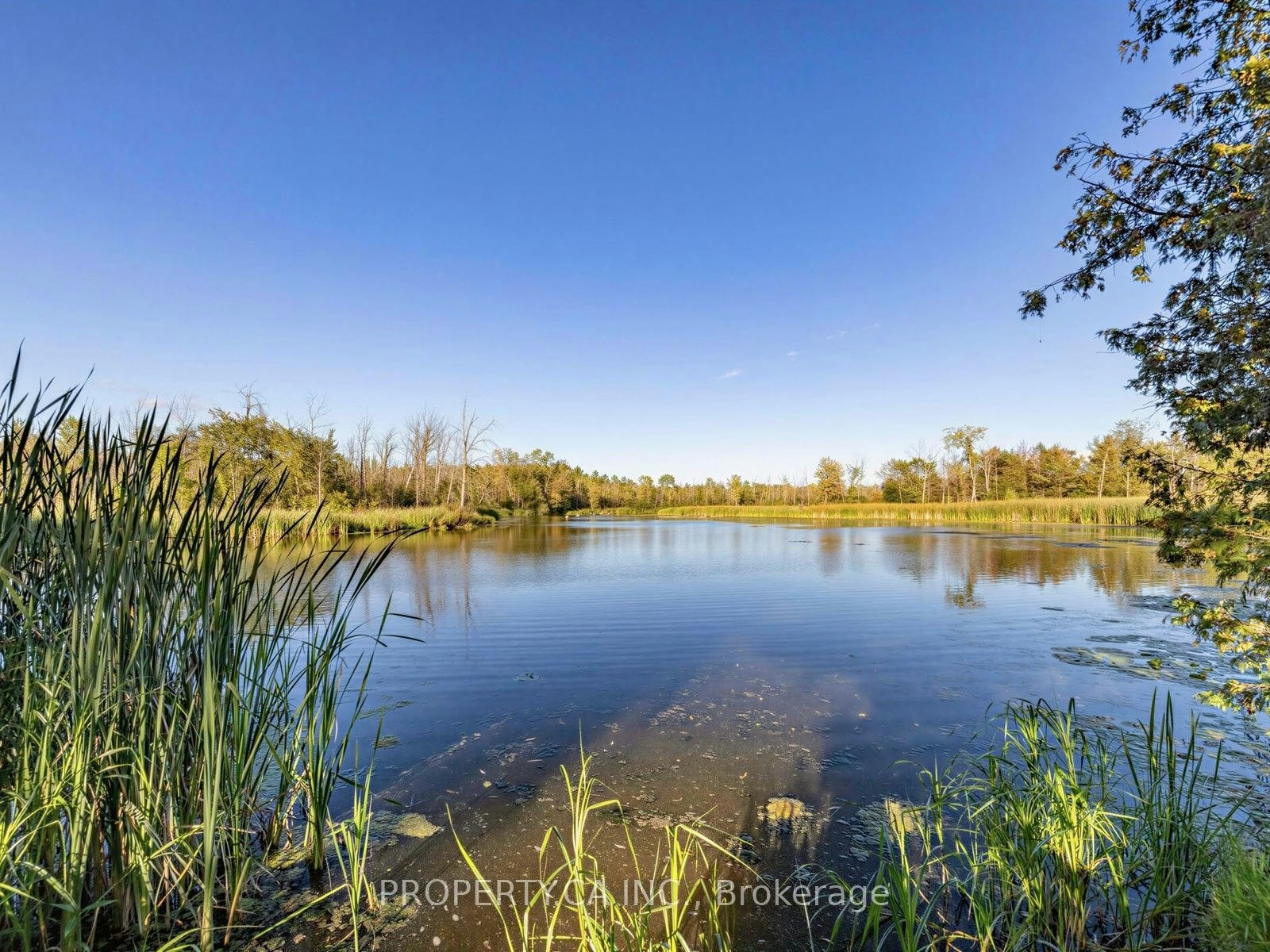 30 Willow Street, East Gwillimbury, ON, L9N 1J4 - 39