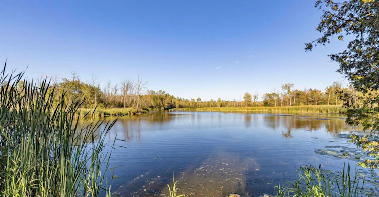 30 Willow Street, East Gwillimbury, ON, L9N 1J4 - 39