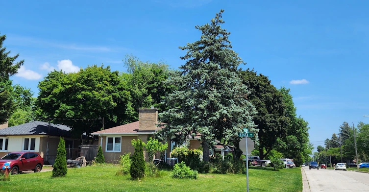 283 Paliser Crescent S, Richmond Hill, ON, L4C 1R9 - 2