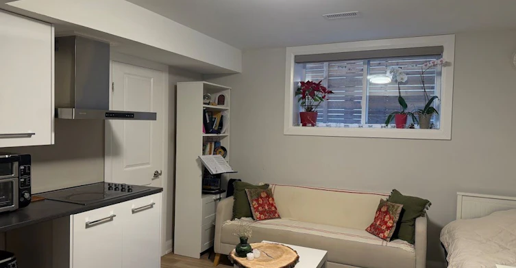 Bsmt C-43 Birch Avenue, Richmond Hill, ON, L4C 6C4 - 6