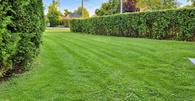 3944 Lakeview Road, Innisfil, ON, L9S 2V5 - 14