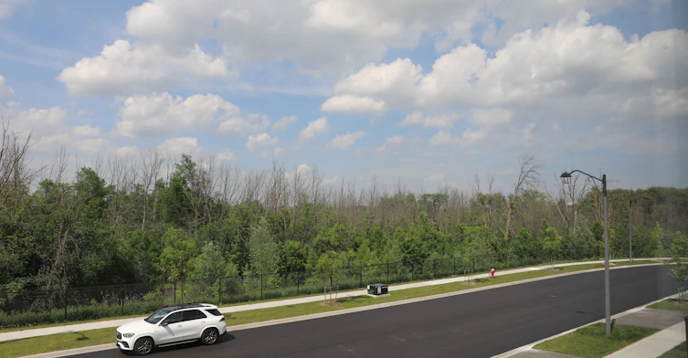 119 Mccague Avenue, Richmond Hill, ON, L4S 0M2 - 21