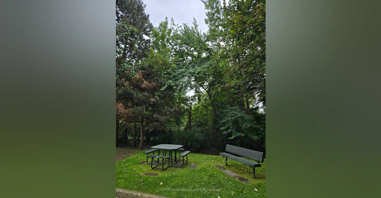 206-8501 Bayview Avenue, Richmond Hill, ON, L4B 3J7 - 42