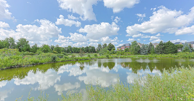 62 Pickett Crescent, Richmond Hill, ON, L4C 9L3 - 48