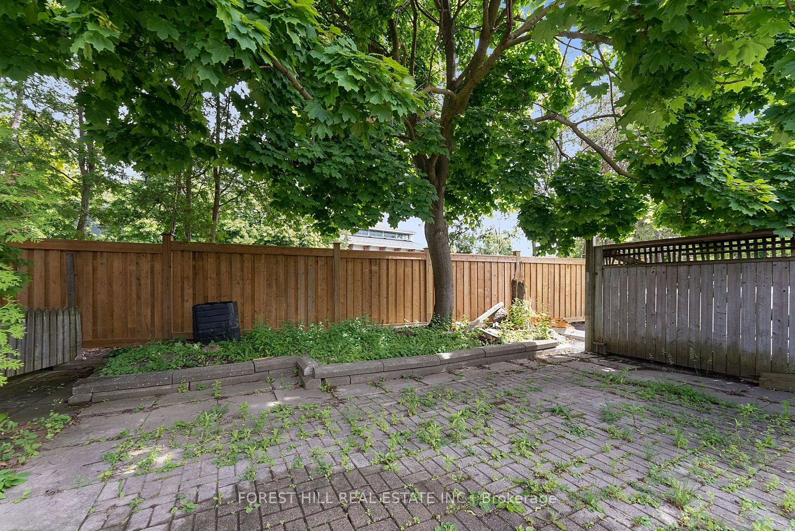 MAIN-36 Arnold Crescent, Richmond Hill, ON, L4C 3R5 - 28