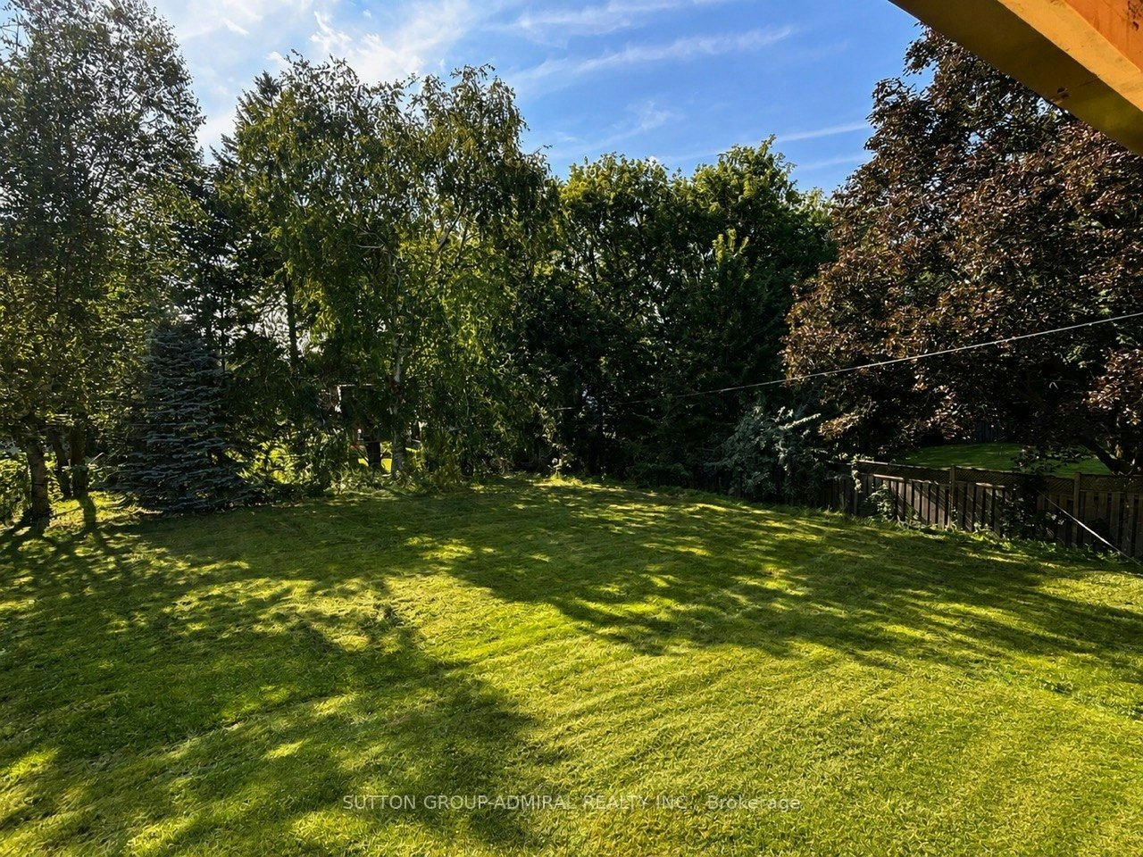 Main Floor-86 Hamilton Drive, Newmarket, ON, L3Y 3E8 - 34
