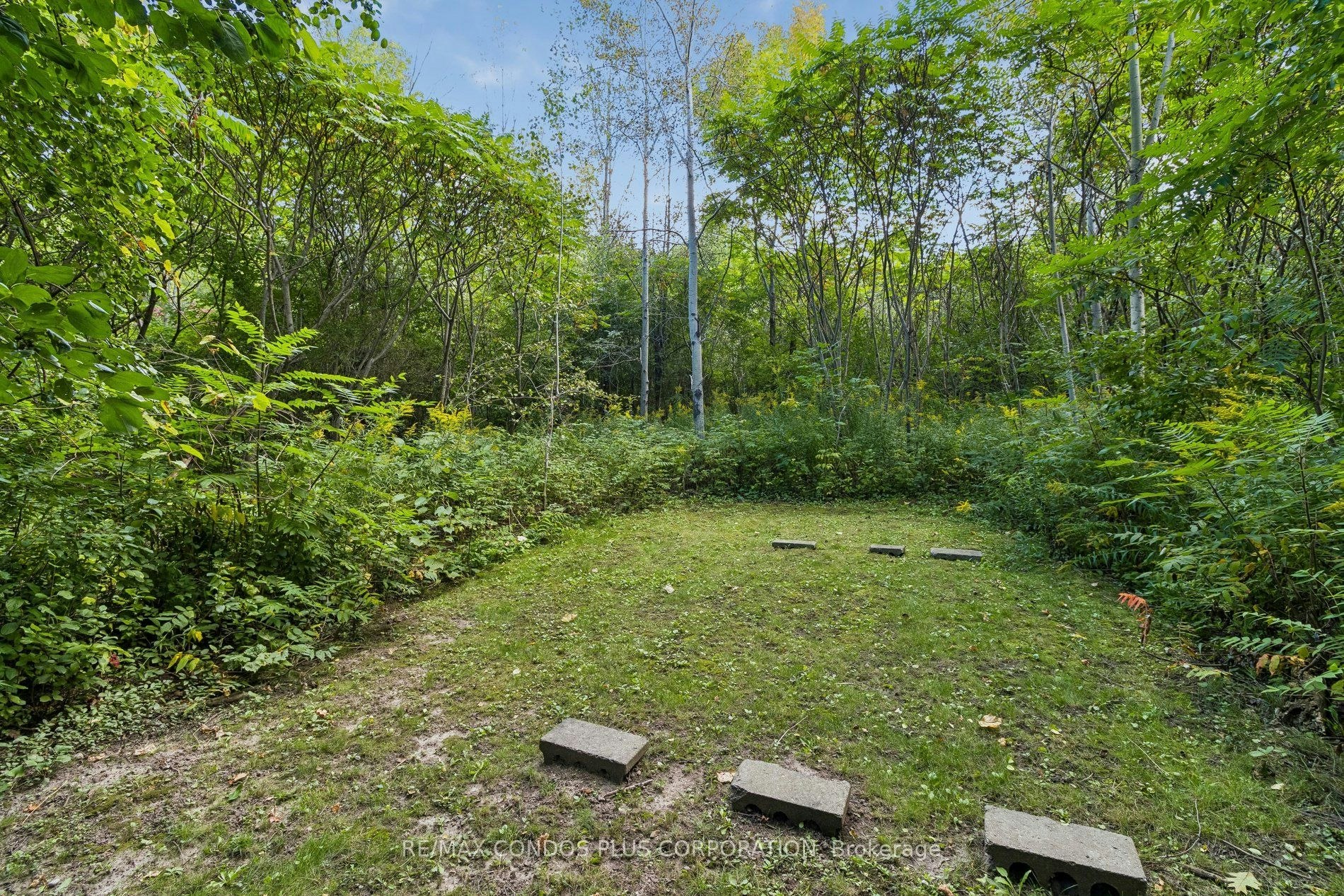 41 Maroon Drive, Richmond Hill, ON, L4E 5B4 - 45